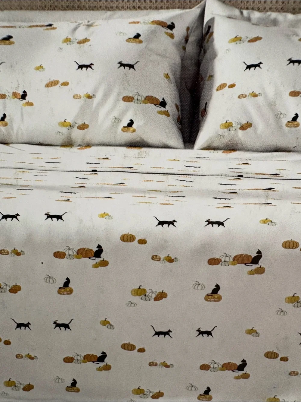 NEW Sophie Allport Queen Sheet Set - “Pumpkin Cat” Black Cat & Pumpkin Pattern